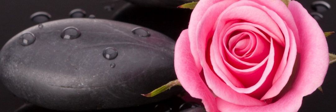 kittykatsuarez's profile banner image
