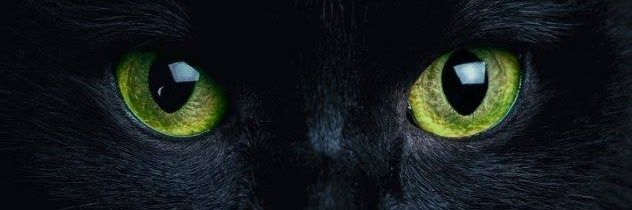 lilyV23's profile banner image