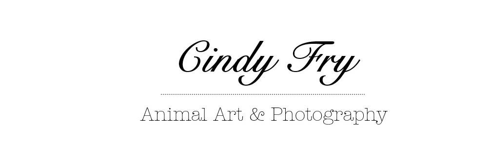CindyFry07's profile banner image