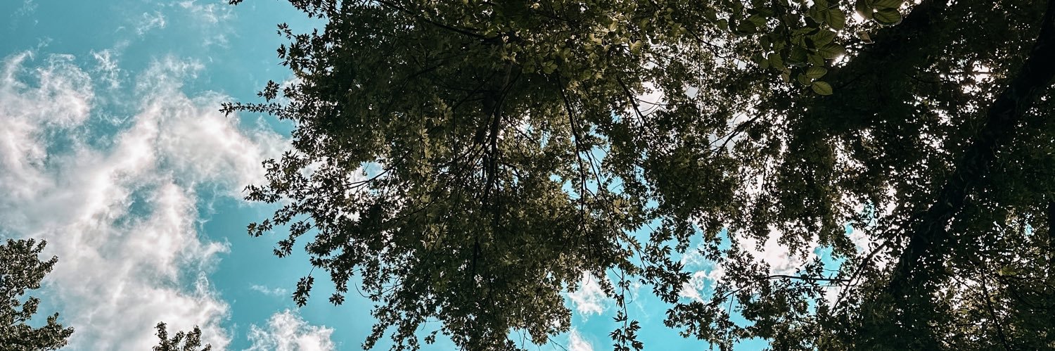 taylorbache's profile banner image