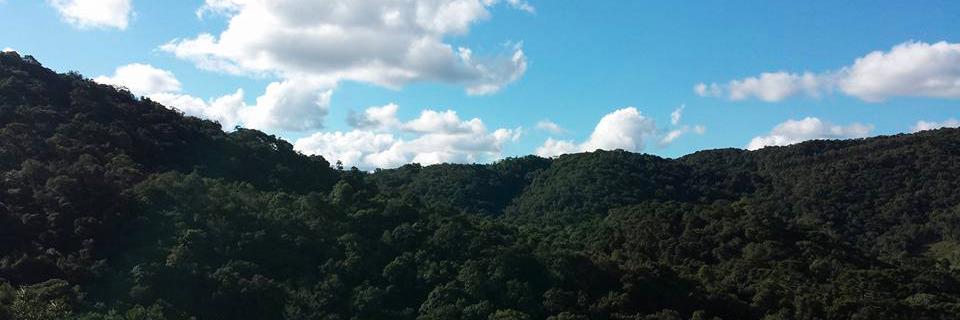 FernandaMusardo's profile banner image