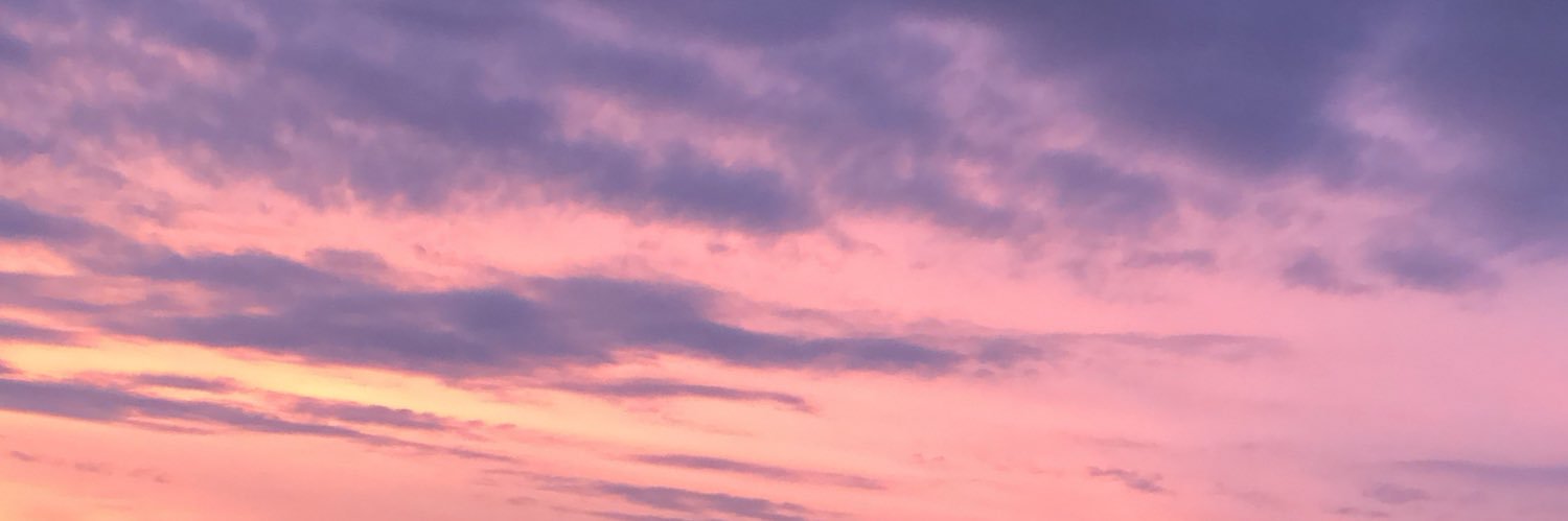 sofia_eche's profile banner image