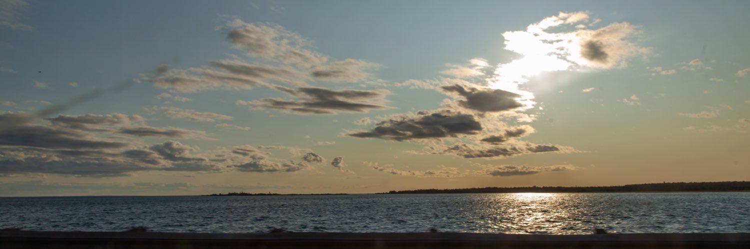 Elefonzapie's profile banner image