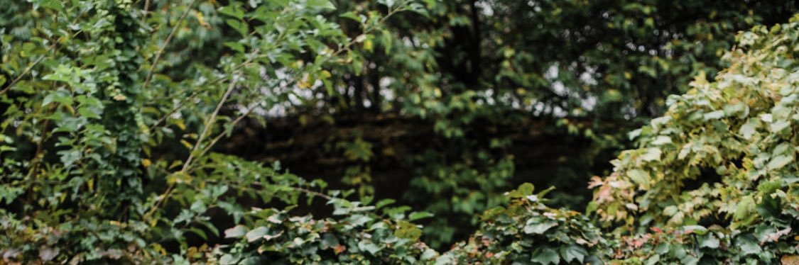 haileycourts's profile banner image