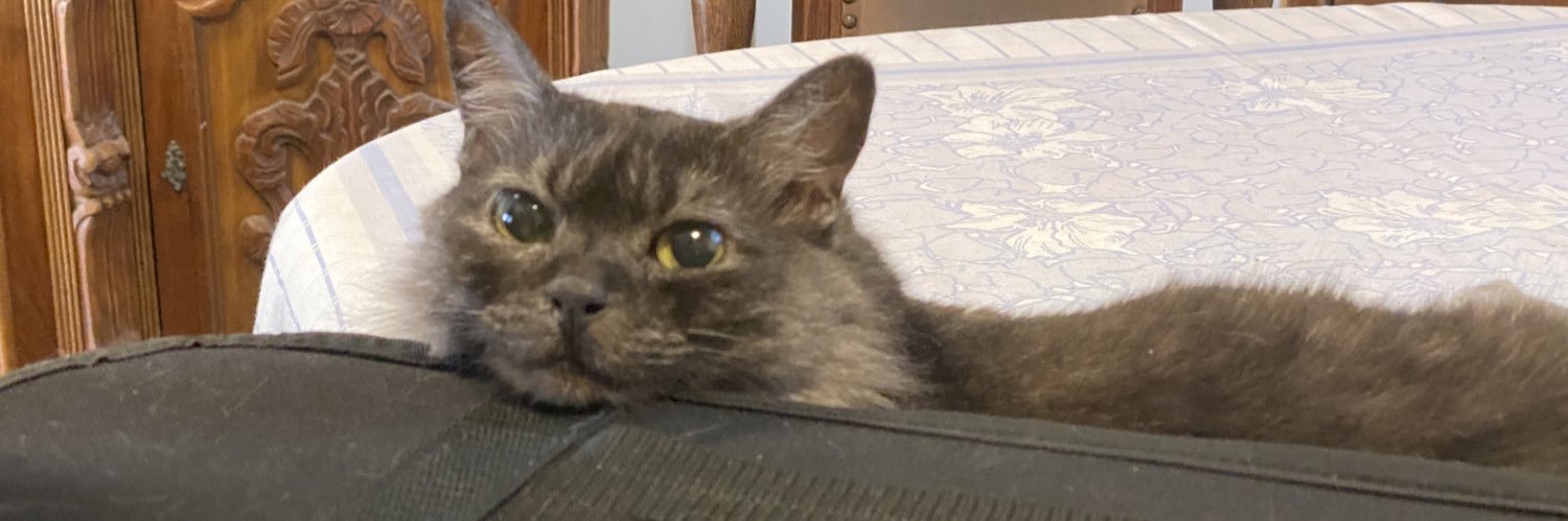 felipelgoes's profile banner image