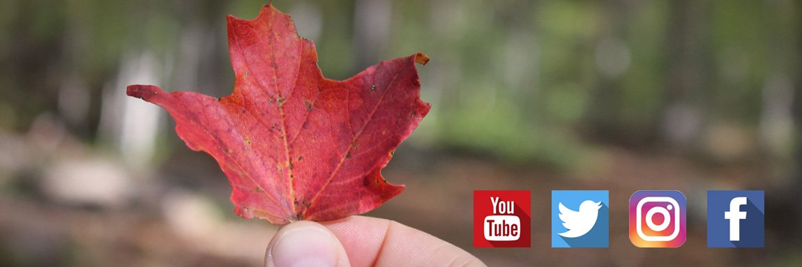 Let's Discover ON banner