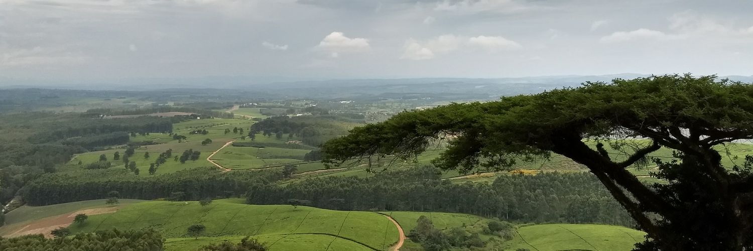 jerweave's profile banner image