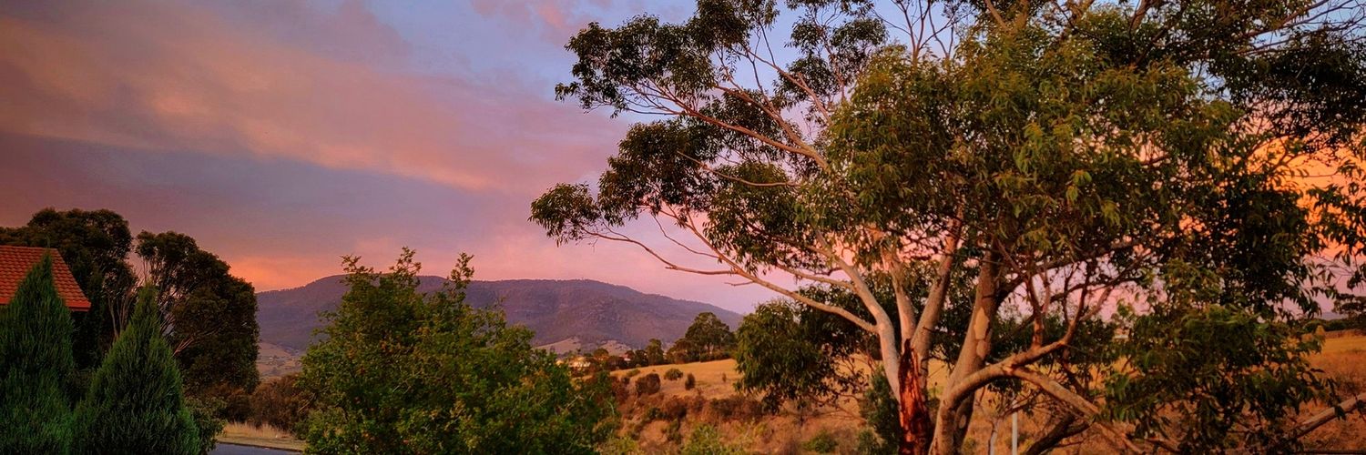 Working Squirrel 🐿 banner