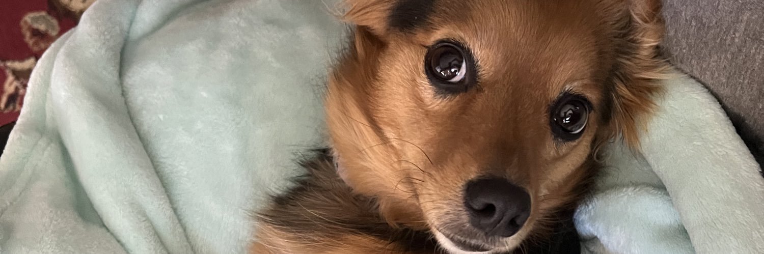 viviloveee's profile banner image