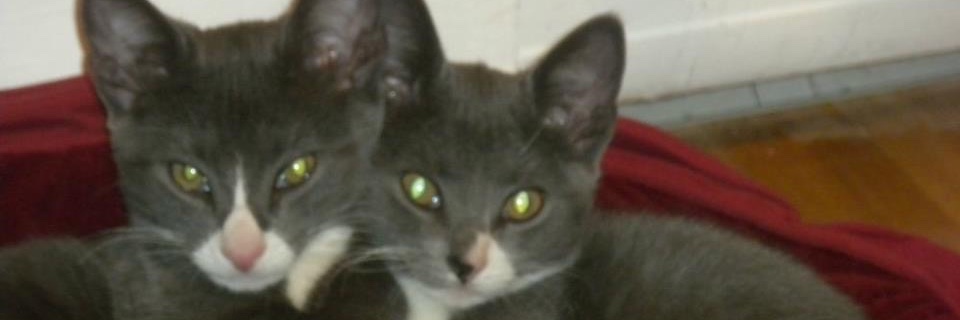 KayBlot's profile banner image