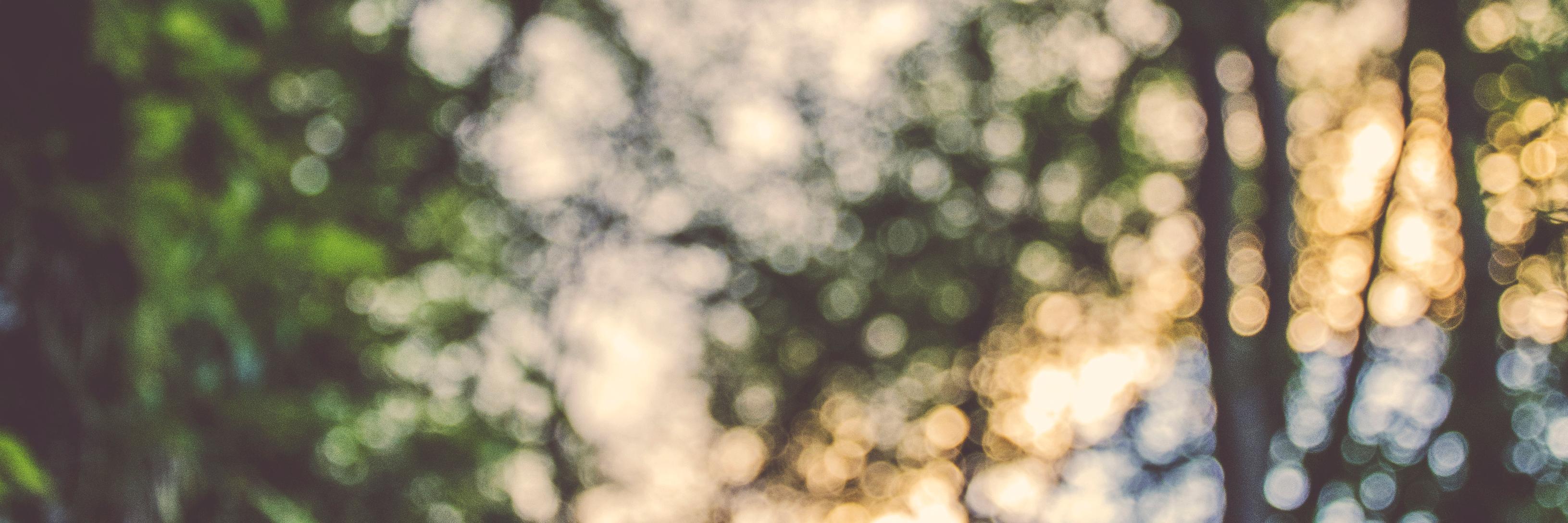 racheltmoeckel's profile banner image