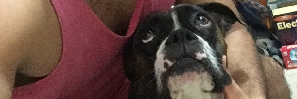 PAsanza's profile banner image