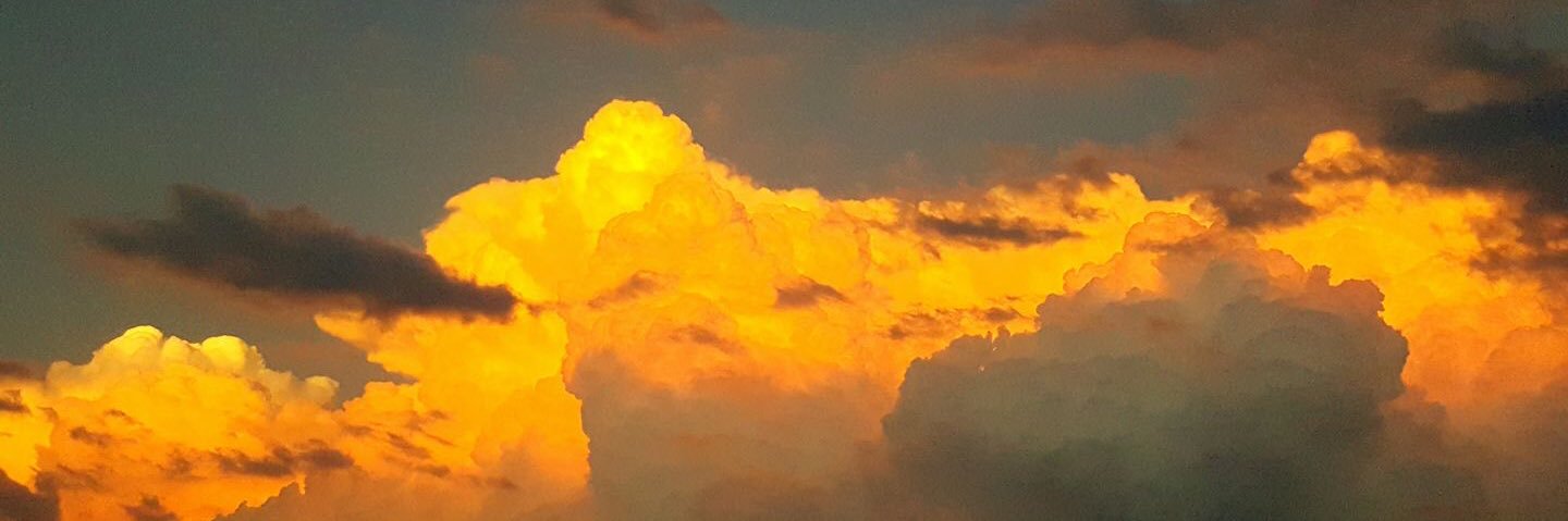 MelWaller7's profile banner image