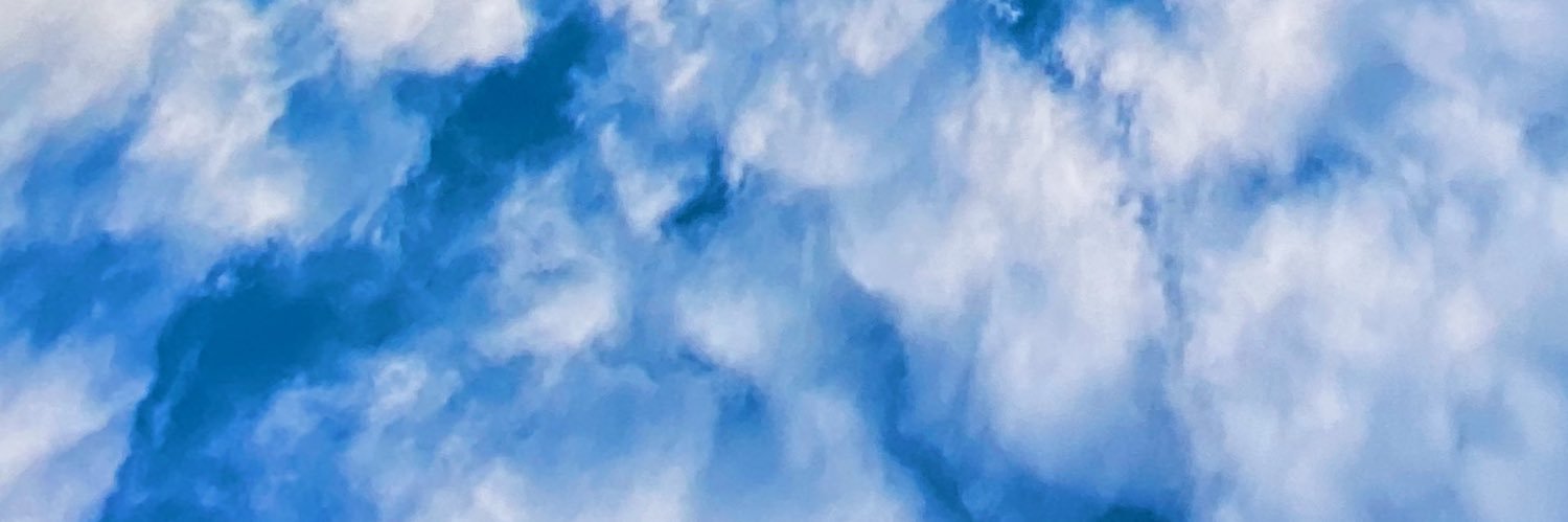 GottwaldJillian's profile banner image