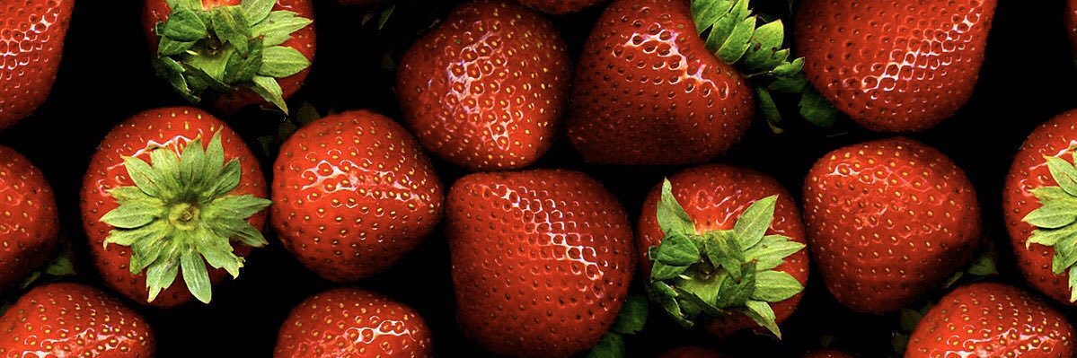 veggiekitti's profile banner image