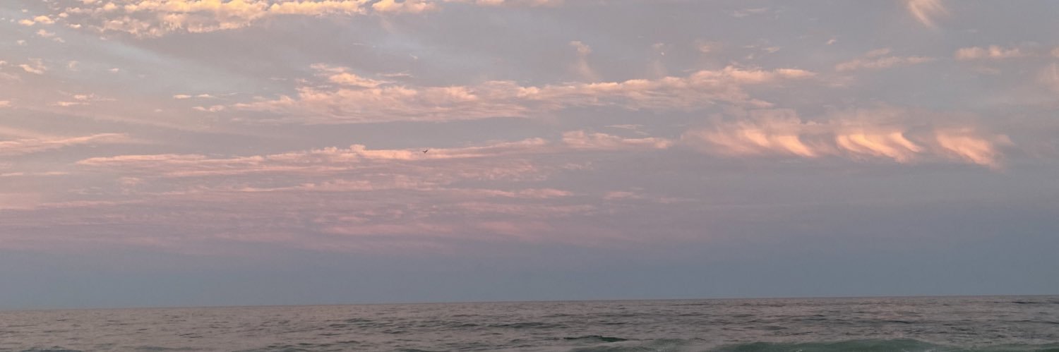 areliii_x's profile banner image