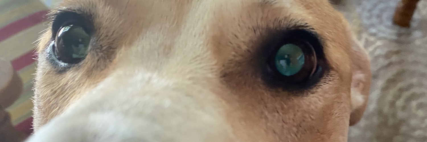 morgnrms's profile banner image