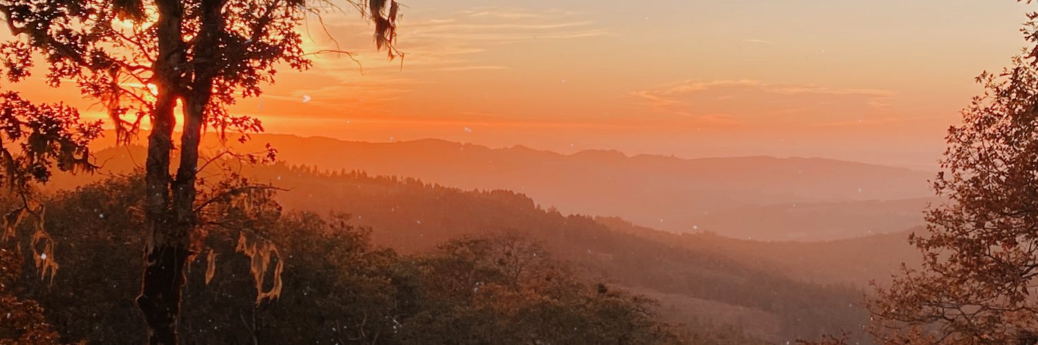 tannerlevitt_'s profile banner image