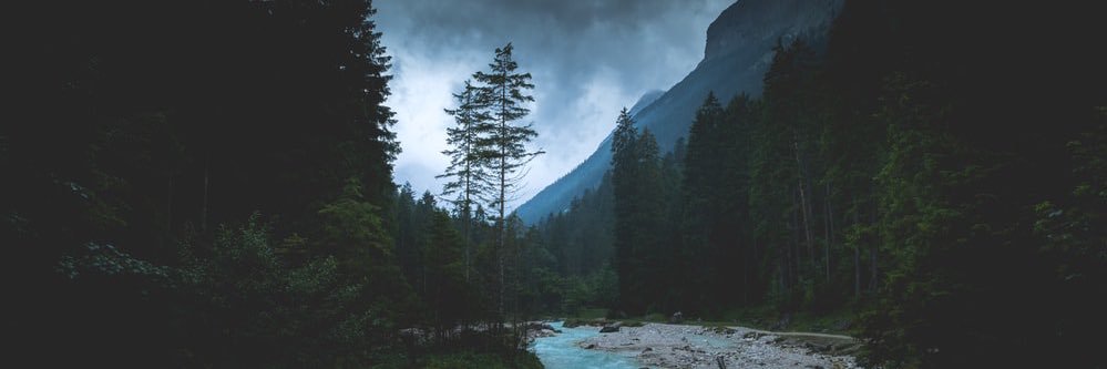 Freddavis_'s profile banner image