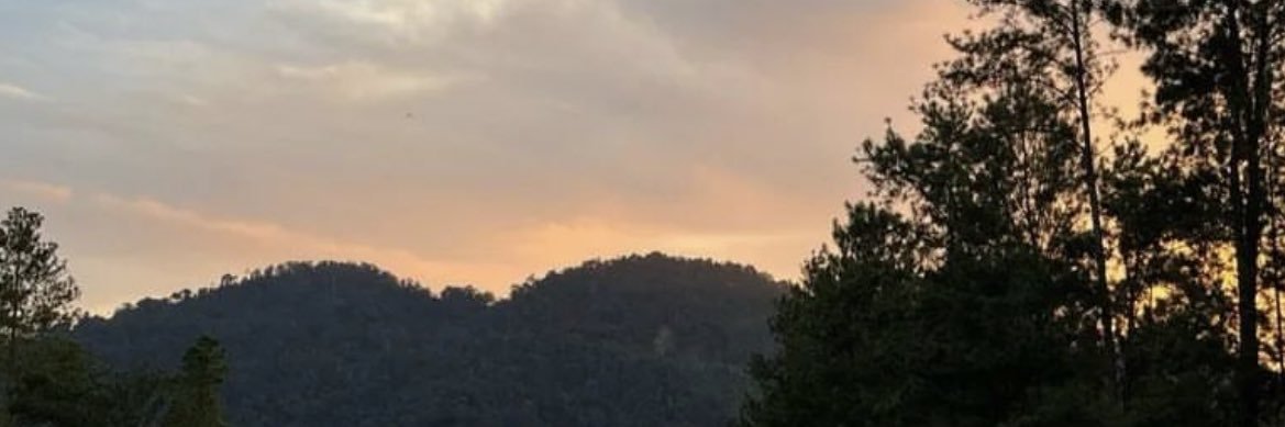 Leondoree's profile banner image