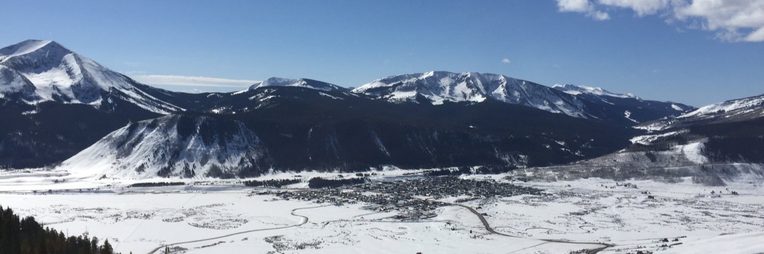 Allie Hoffmann banner