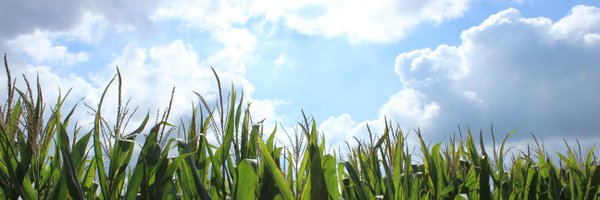 DannyHajek Profile Banner