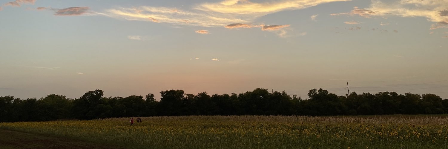thesallysoap's profile banner image