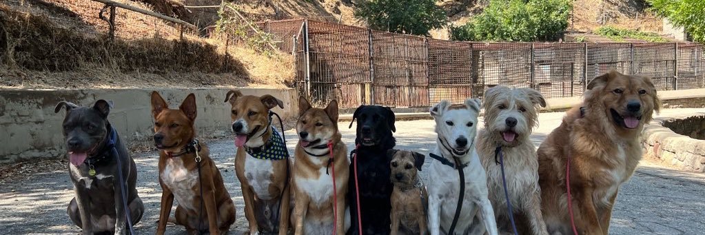 Felicia Fasano banner