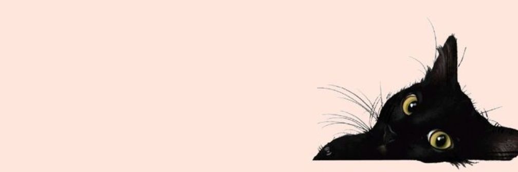 Renanovaislenz1's profile banner image