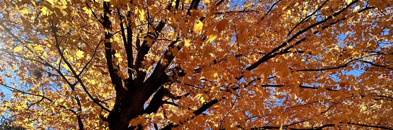 Margot “ChemE Mom” Vigeant banner