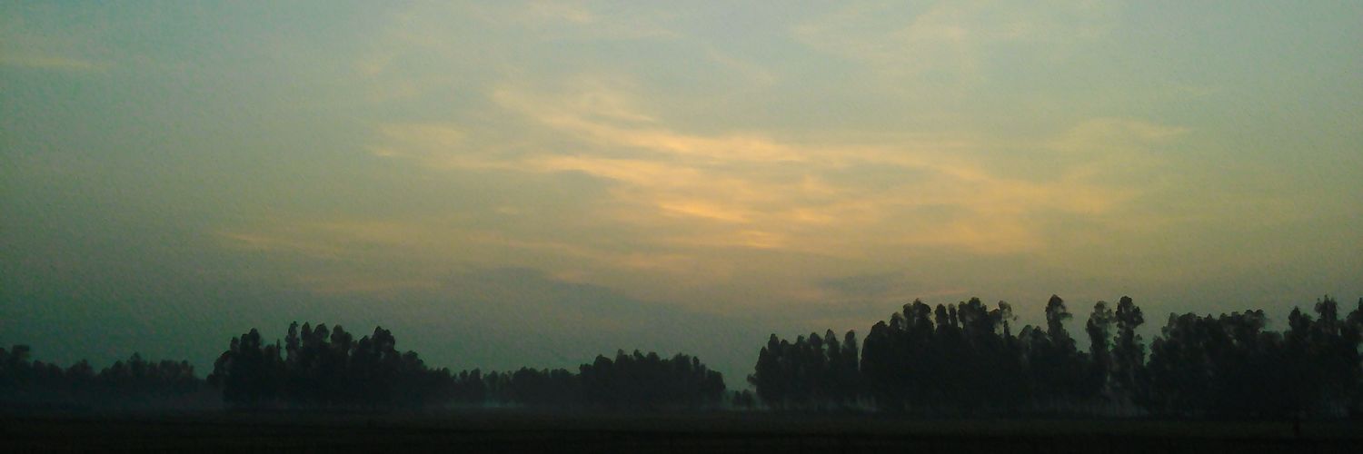 hsippao's profile banner image