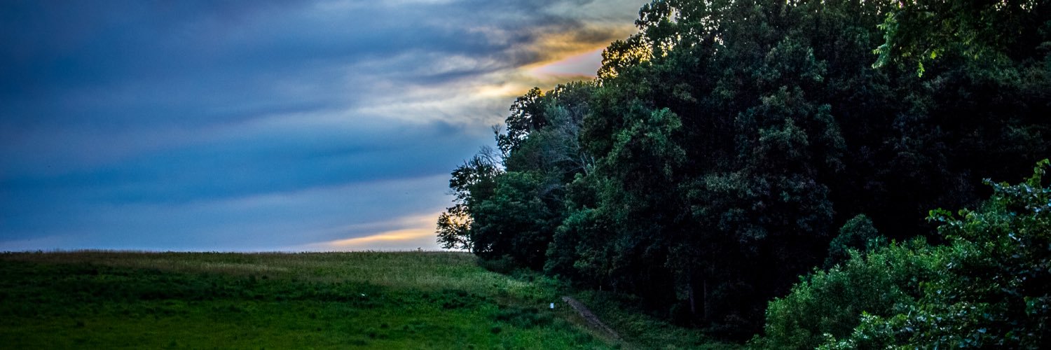 AmyMenno's profile banner image