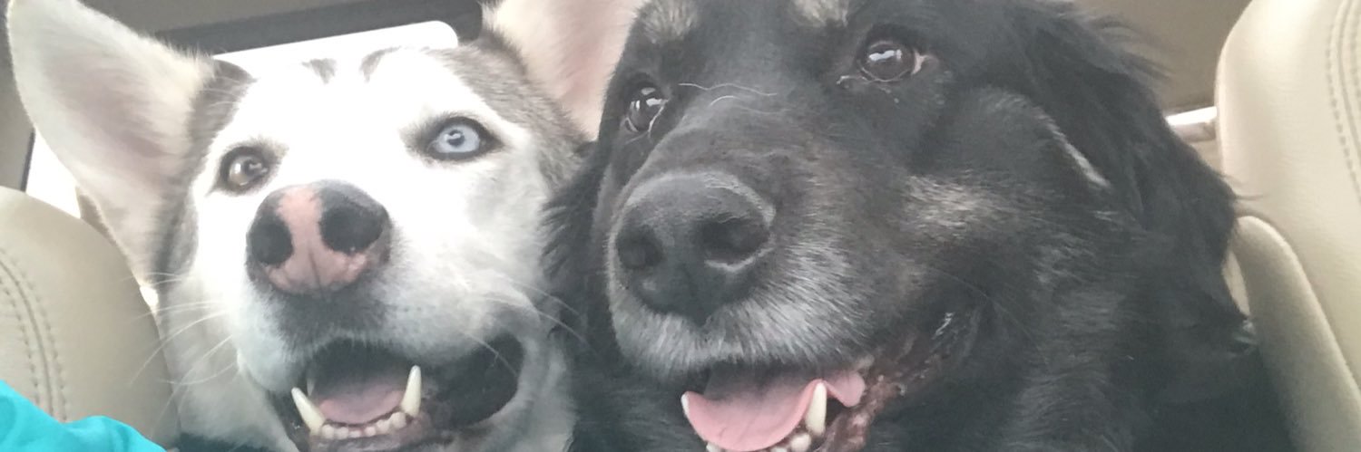 priscilla2594's profile banner image