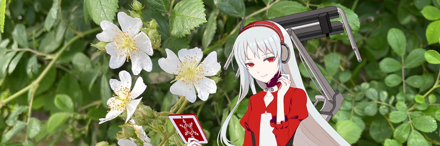 wxchiyoxw's profile banner image