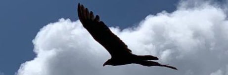 avasquezmaimon's profile banner image