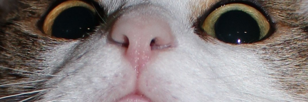 Neuqie's profile banner image