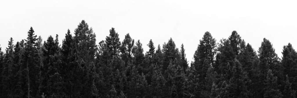 Kristina Jackens banner