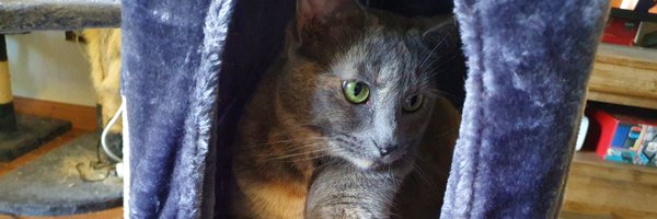 GidMK Profile Banner