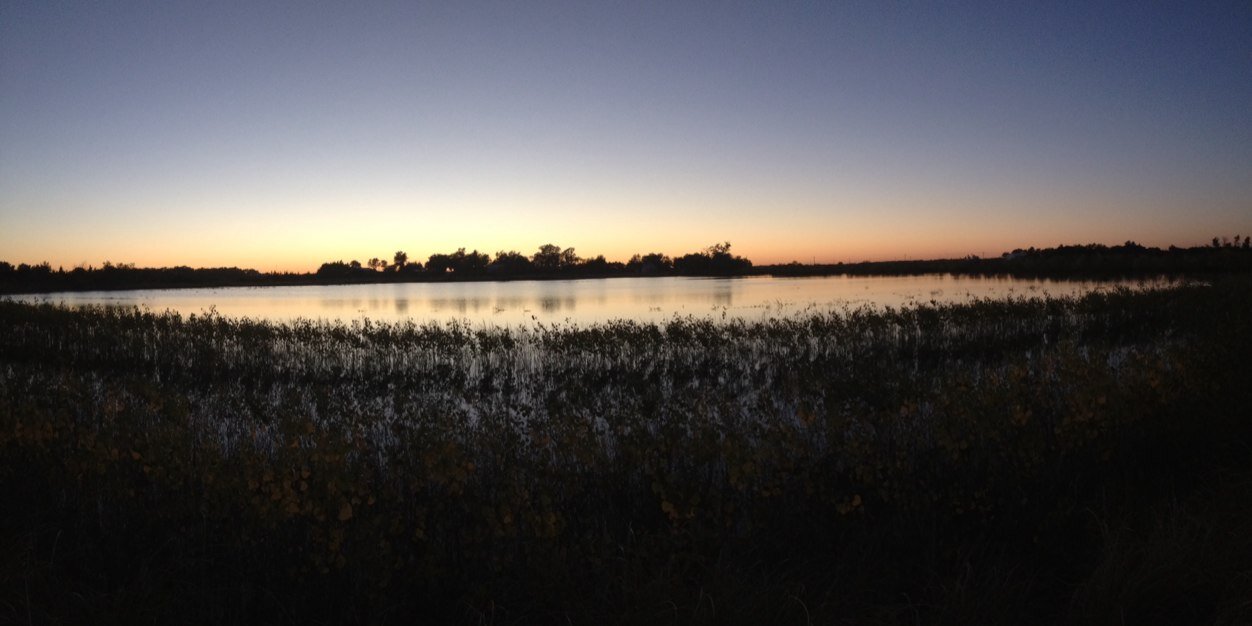 wperry29's profile banner image