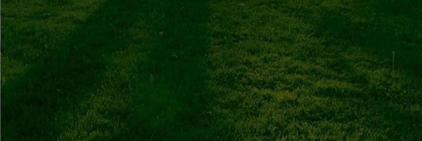 am0_y's profile banner image