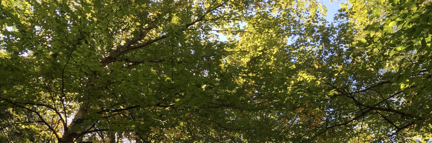 emeowmily's profile banner image