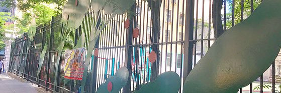 PS116NYC's profile banner image