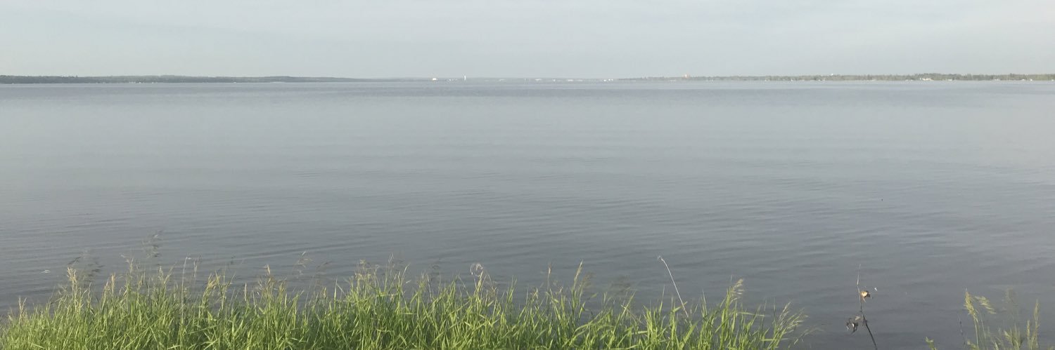 ellesaboo's profile banner image