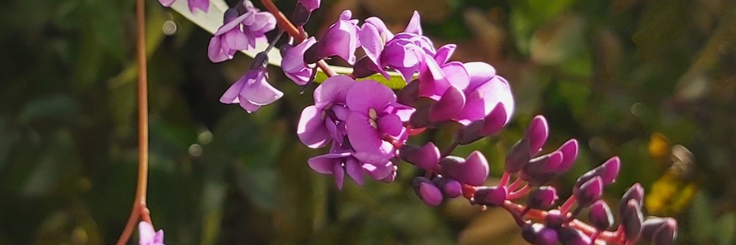 Dr Scott Rickard 📷 banner