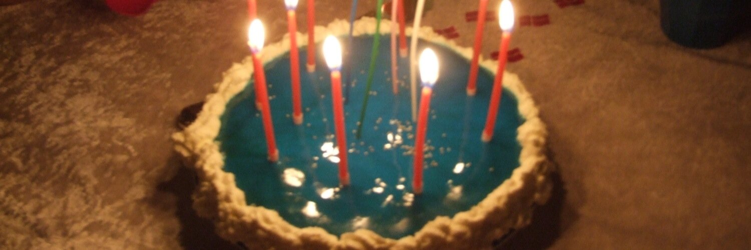 Sanne Plichta banner