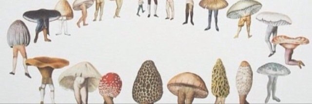 нαydεη❁ banner