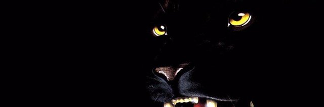 chrisa_4's profile banner image