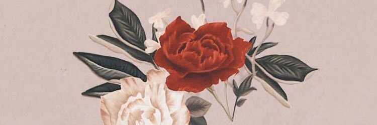 MarissaFava's profile banner image