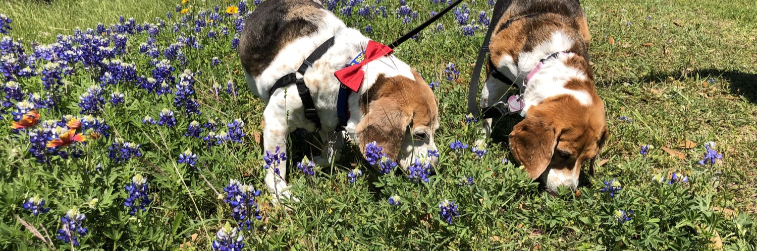 William 🌈Angels Prince Pasha & Mischa 🐞🐞 banner