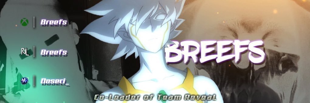 BreefsReal's profile banner image